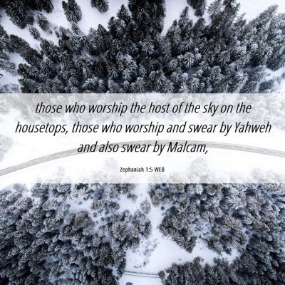 Picture 06 - Zephaniah 1:5 WEB - those who worship the host of the sky on the - Bible Verse Picture