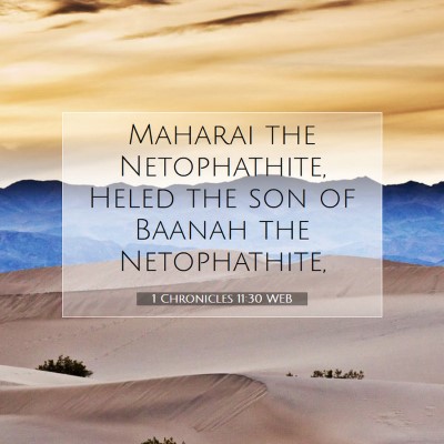 Picture 07 - 1 Chronicles 11:30 WEB - Maharai the Netophathite, Heled the son of Baanah - Bible Verse Picture
