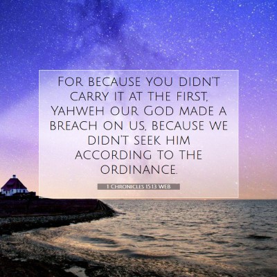 Picture 07 - 1 Chronicles 15:13 WEB - For because you didn't carry it at the first, - Bible Verse Picture