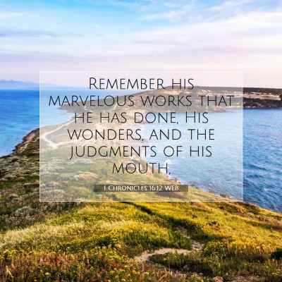 Picture 07 - 1 Chronicles 16:12 WEB - Remember his marvelous works that he has done, - Bible Verse Picture