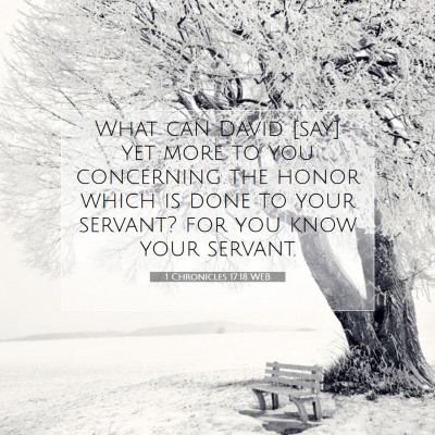 Picture 07 - 1 Chronicles 17:18 WEB - What can David [say] yet more to you concerning - Bible Verse Picture