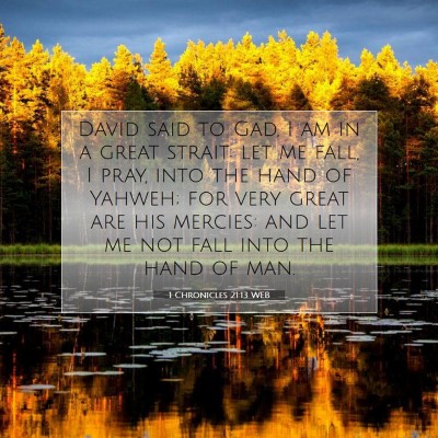 Picture 07 - 1 Chronicles 21:13 WEB - David said to Gad, I am in a great strait: let me - Bible Verse Picture
