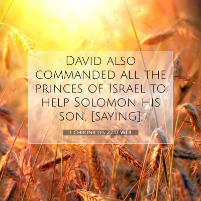 Picture 07 - 1 Chronicles 22:17 WEB - David also commanded all the princes of Israel to - Bible Verse Picture