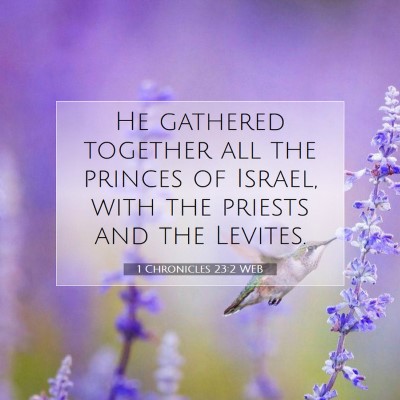 Picture 07 - 1 Chronicles 23:2 WEB - He gathered together all the princes of Israel, - Bible Verse Picture