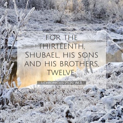 Picture 07 - 1 Chronicles 25:20 WEB - for the thirteenth, Shubael, his sons and his - Bible Verse Picture