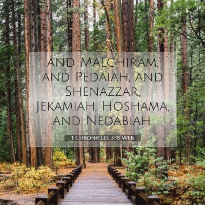Picture 07 - 1 Chronicles 3:18 WEB - and Malchiram, and Pedaiah, and Shenazzar, - Bible Verse Picture
