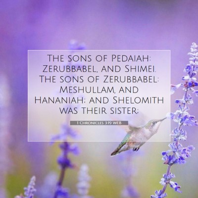 Picture 07 - 1 Chronicles 3:19 WEB - The sons of Pedaiah: Zerubbabel, and Shimei. The - Bible Verse Picture