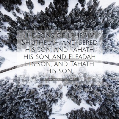 Picture 07 - 1 Chronicles 7:20 WEB - The sons of Ephraim: Shuthelah, and Bered his - Bible Verse Picture