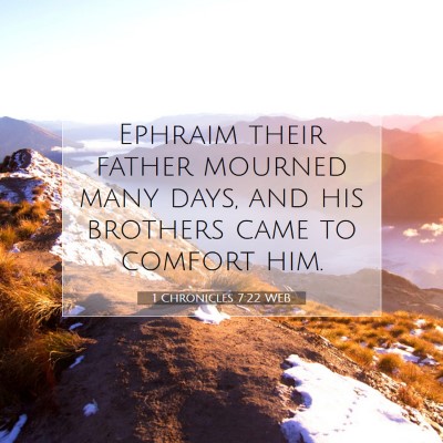 Picture 07 - 1 Chronicles 7:22 WEB - Ephraim their father mourned many days, and his - Bible Verse Picture