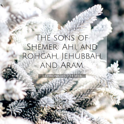 Picture 07 - 1 Chronicles 7:34 WEB - The sons of Shemer: Ahi, and Rohgah, Jehubbah, - Bible Verse Picture