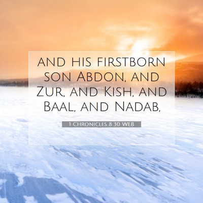 Picture 07 - 1 Chronicles 8:30 WEB - and his firstborn son Abdon, and Zur, and Kish, - Bible Verse Picture