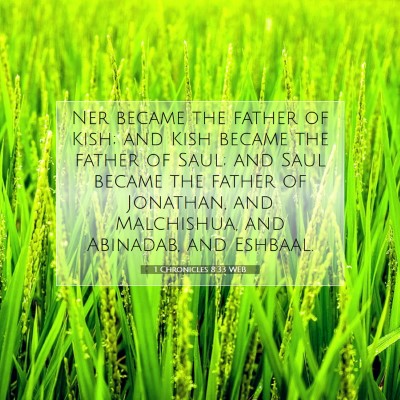 Picture 07 - 1 Chronicles 8:33 WEB - Ner became the father of Kish; and Kish became - Bible Verse Picture