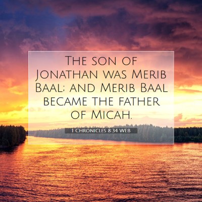 Picture 07 - 1 Chronicles 8:34 WEB - The son of Jonathan was Merib Baal; and Merib - Bible Verse Picture
