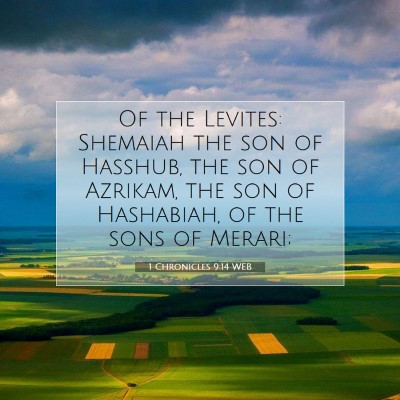 Picture 07 - 1 Chronicles 9:14 WEB - Of the Levites: Shemaiah the son of Hasshub, the - Bible Verse Picture