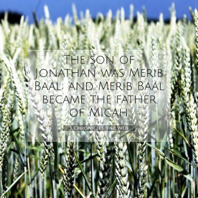 Picture 07 - 1 Chronicles 9:40 WEB - The son of Jonathan was Merib Baal; and Merib - Bible Verse Picture