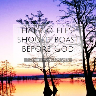 Picture 07 - 1 Corinthians 1:29 WEB - that no flesh should boast before - Bible Verse Picture