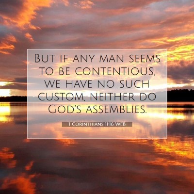 Picture 07 - 1 Corinthians 11:16 WEB - But if any man seems to be contentious, we have - Bible Verse Picture