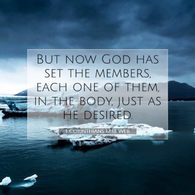 Picture 07 - 1 Corinthians 12:18 WEB - But now God has set the members, each one of - Bible Verse Picture