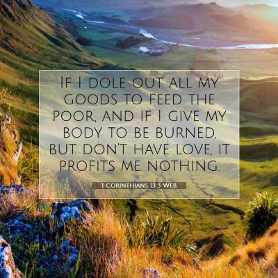 Picture 07 - 1 Corinthians 13:3 WEB - If I dole out all my goods to feed the poor, and - Bible Verse Picture