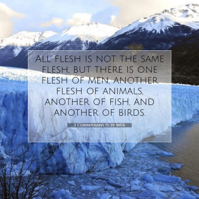 Picture 07 - 1 Corinthians 15:39 WEB - All flesh is not the same flesh, but there is one - Bible Verse Picture