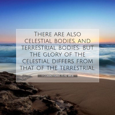 Picture 07 - 1 Corinthians 15:40 WEB - There are also celestial bodies, and terrestrial - Bible Verse Picture