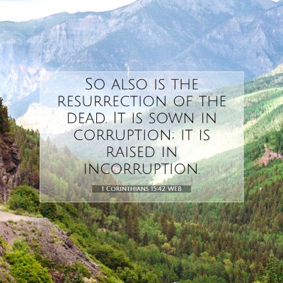 Picture 07 - 1 Corinthians 15:42 WEB - So also is the resurrection of the dead. It is - Bible Verse Picture