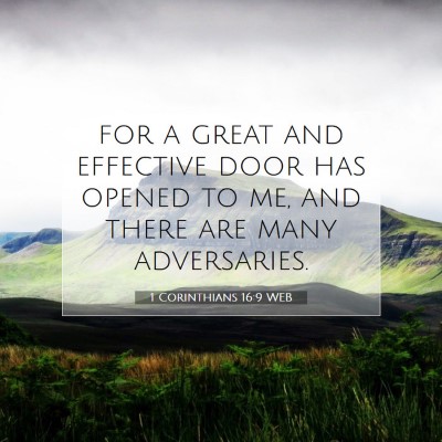 Picture 07 - 1 Corinthians 16:9 WEB - for a great and effective door has opened to me, - Bible Verse Picture