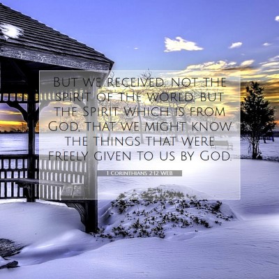 Picture 07 - 1 Corinthians 2:12 WEB - But we received, not the spirit of the world, but - Bible Verse Picture