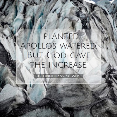 Picture 07 - 1 Corinthians 3:6 WEB - I planted. Apollos watered. But God gave the - Bible Verse Picture