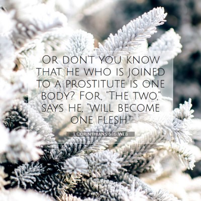 Picture 07 - 1 Corinthians 6:16 WEB - Or don't you know that he who is joined to a - Bible Verse Picture