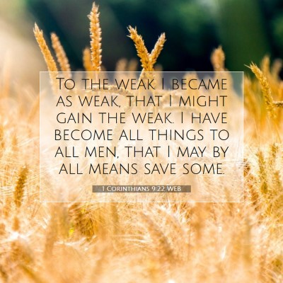 Picture 07 - 1 Corinthians 9:22 WEB - To the weak I became as weak, that I might gain - Bible Verse Picture