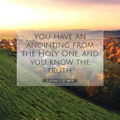 Picture 07 - 1 John 2:20 WEB - You have an anointing from the Holy One, and you - Bible Verse Picture