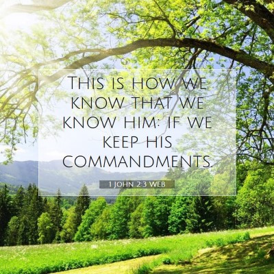 Picture 07 - 1 John 2:3 WEB - This is how we know that we know him: if we keep - Bible Verse Picture