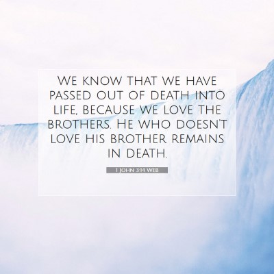 Picture 07 - 1 John 3:14 WEB - We know that we have passed out of death into - Bible Verse Picture