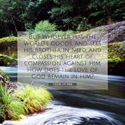 Picture 07 - 1 John 3:17 WEB - But whoever has the world's goods, and sees his - Bible Verse Picture