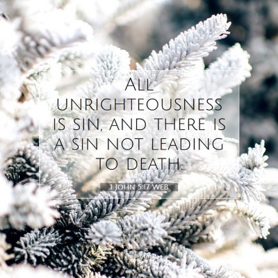 Picture 07 - 1 John 5:17 WEB - All unrighteousness is sin, and there is a sin - Bible Verse Picture