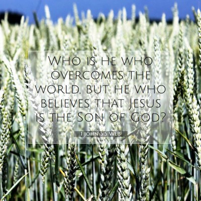 Picture 07 - 1 John 5:5 WEB - Who is he who overcomes the world, but he who - Bible Verse Picture