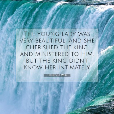 Picture 07 - 1 Kings 1:4 WEB - The young lady was very beautiful; and she - Bible Verse Picture