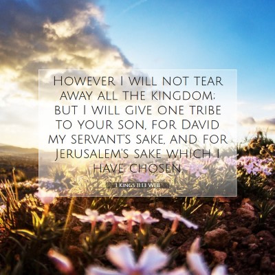Picture 07 - 1 Kings 11:13 WEB - However I will not tear away all the kingdom; but - Bible Verse Picture