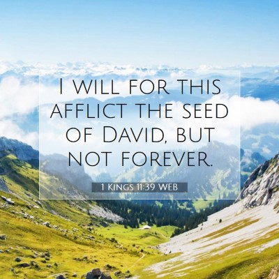 Picture 07 - 1 Kings 11:39 WEB - I will for this afflict the seed of David, but - Bible Verse Picture