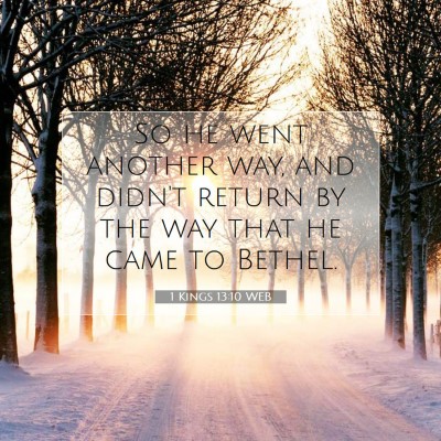 Picture 07 - 1 Kings 13:10 WEB - So he went another way, and didn't return by the - Bible Verse Picture