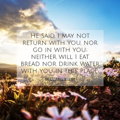 Picture 07 - 1 Kings 13:16 WEB - He said, I may not return with you, nor go in - Bible Verse Picture