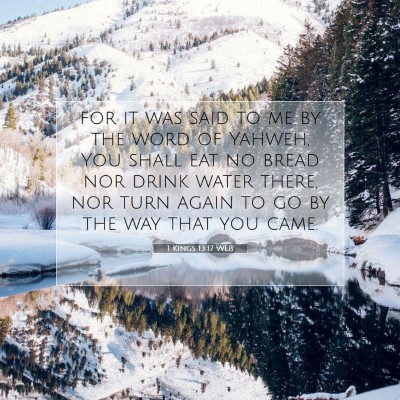 Picture 07 - 1 Kings 13:17 WEB - for it was said to me by the word of Yahweh, You - Bible Verse Picture