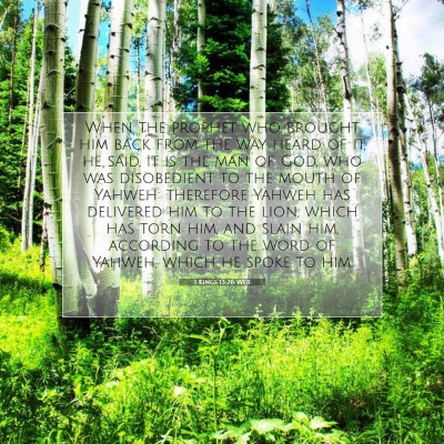 Picture 07 - 1 Kings 13:26 WEB - When the prophet who brought him back from the - Bible Verse Picture