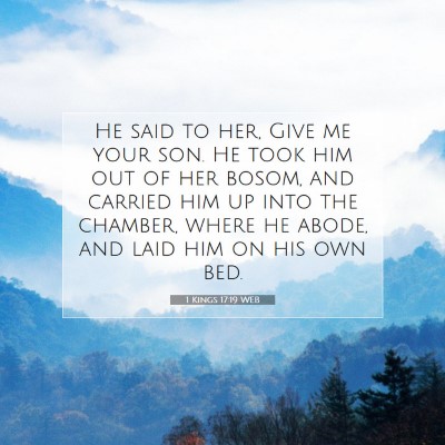 Picture 07 - 1 Kings 17:19 WEB - He said to her, Give me your son. He took him out - Bible Verse Picture