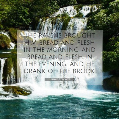 Picture 07 - 1 Kings 17:6 WEB - The ravens brought him bread and flesh in the - Bible Verse Picture