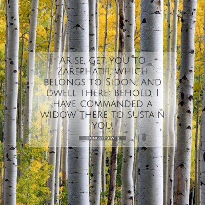 Picture 07 - 1 Kings 17:9 WEB - Arise, get you to Zarephath, which belongs to - Bible Verse Picture