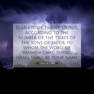 Picture 07 - 1 Kings 18:31 WEB - Elijah took twelve stones, according to the - Bible Verse Picture