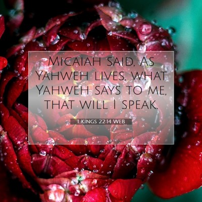 Picture 07 - 1 Kings 22:14 WEB - Micaiah said, As Yahweh lives, what Yahweh says - Bible Verse Picture