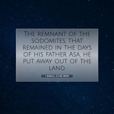 Picture 07 - 1 Kings 22:46 WEB - The remnant of the sodomites, that remained in - Bible Verse Picture